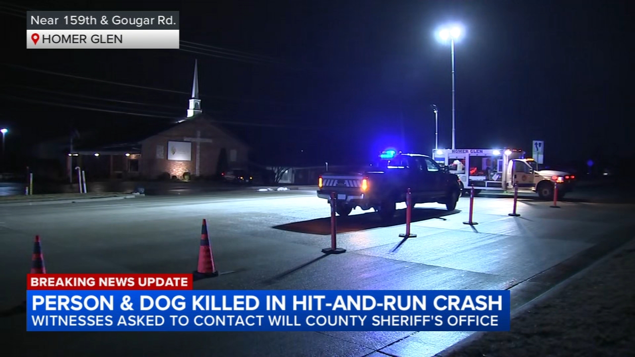 Person, dog killed in hit-and-run in Homer Glen, sheriff's office says