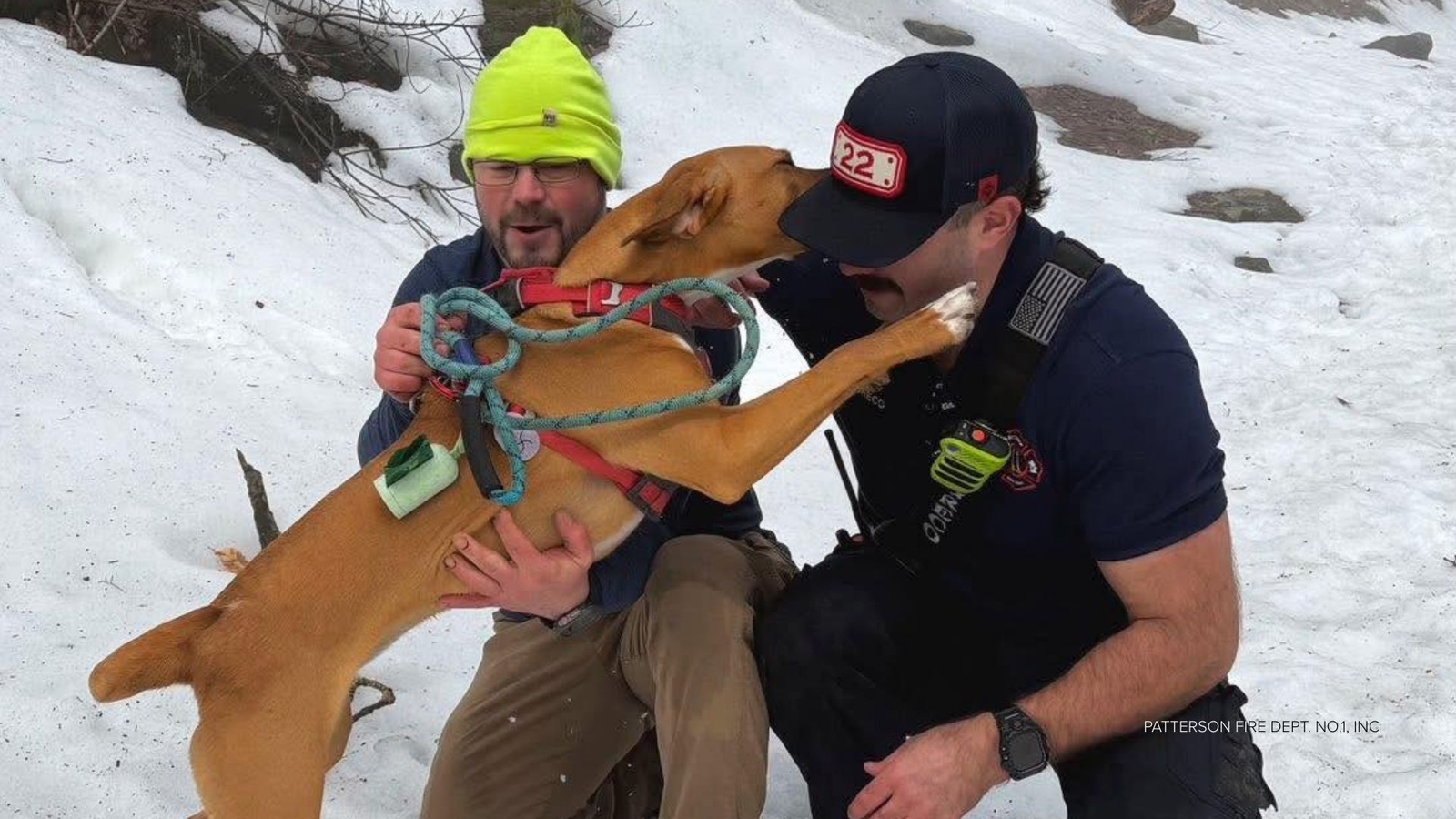 Firefighters rescue dog trapped on dangerous waterfall ledge in Patterson, New York