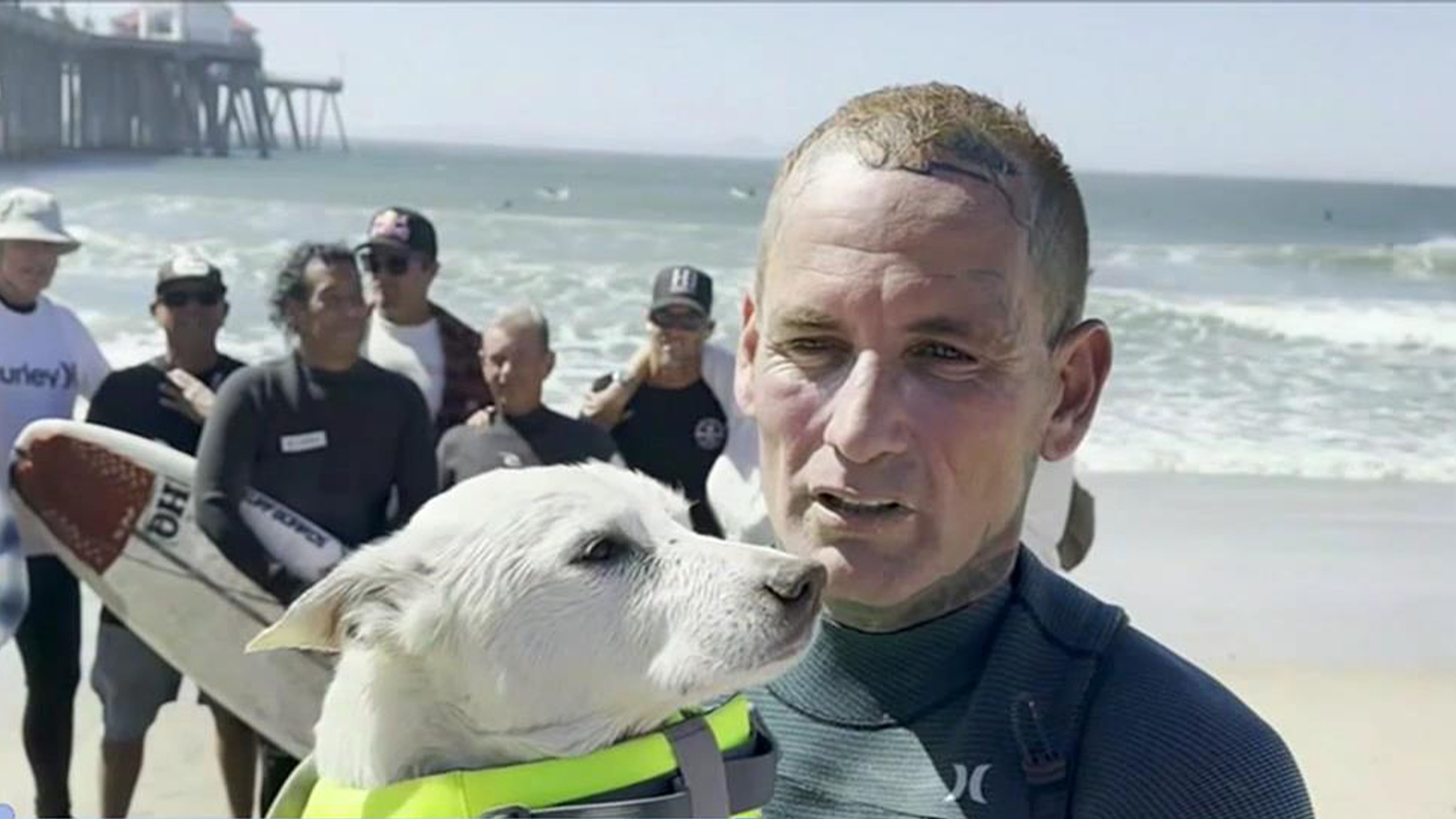 Sugar the surfing dog rides last wave as beloved Southern California pup battles cancer