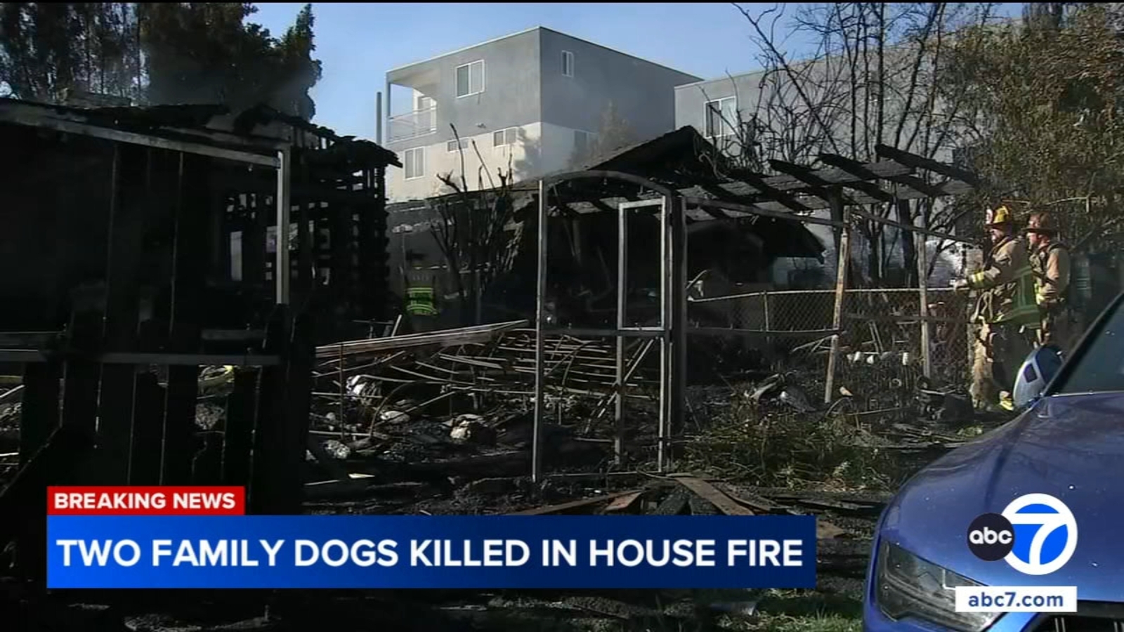 2 pet dogs killed after fire from vacant property spreads to California home