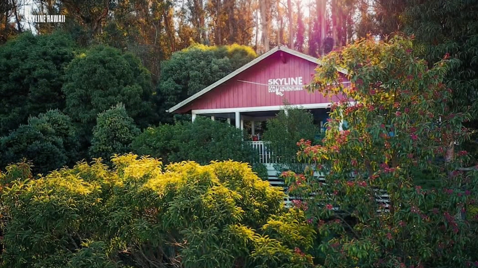 Maui's Skyline Hawaii ziplines itself to island conservation