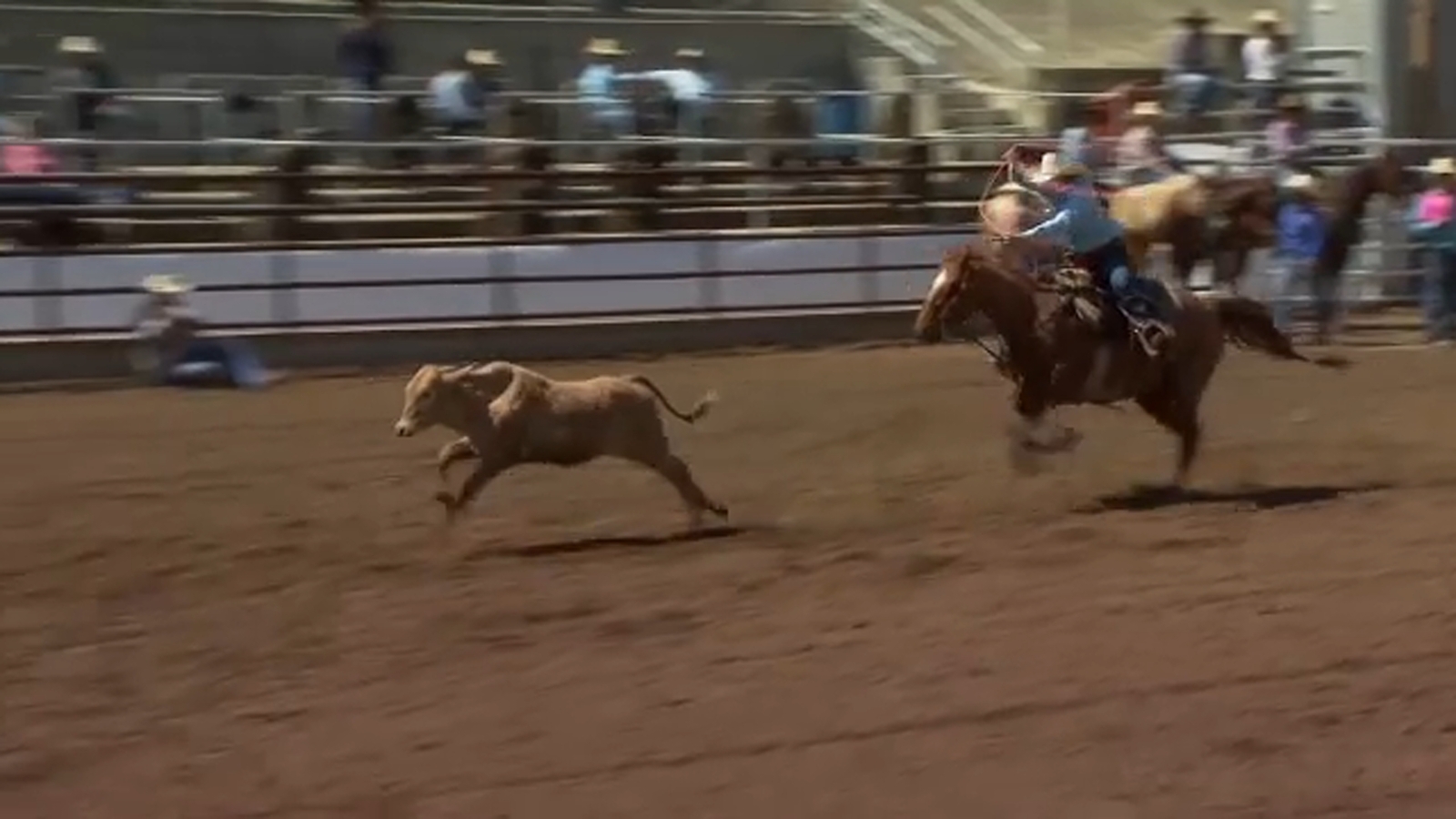 Clovis Rodeo board votes to not include breakaway roping for 2026