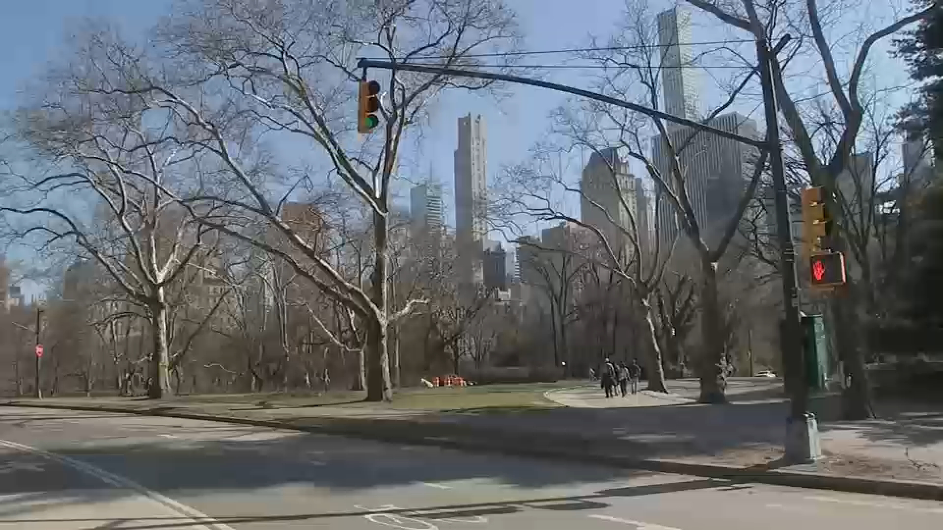 Woman slashed in Central Park in food vendor dispute