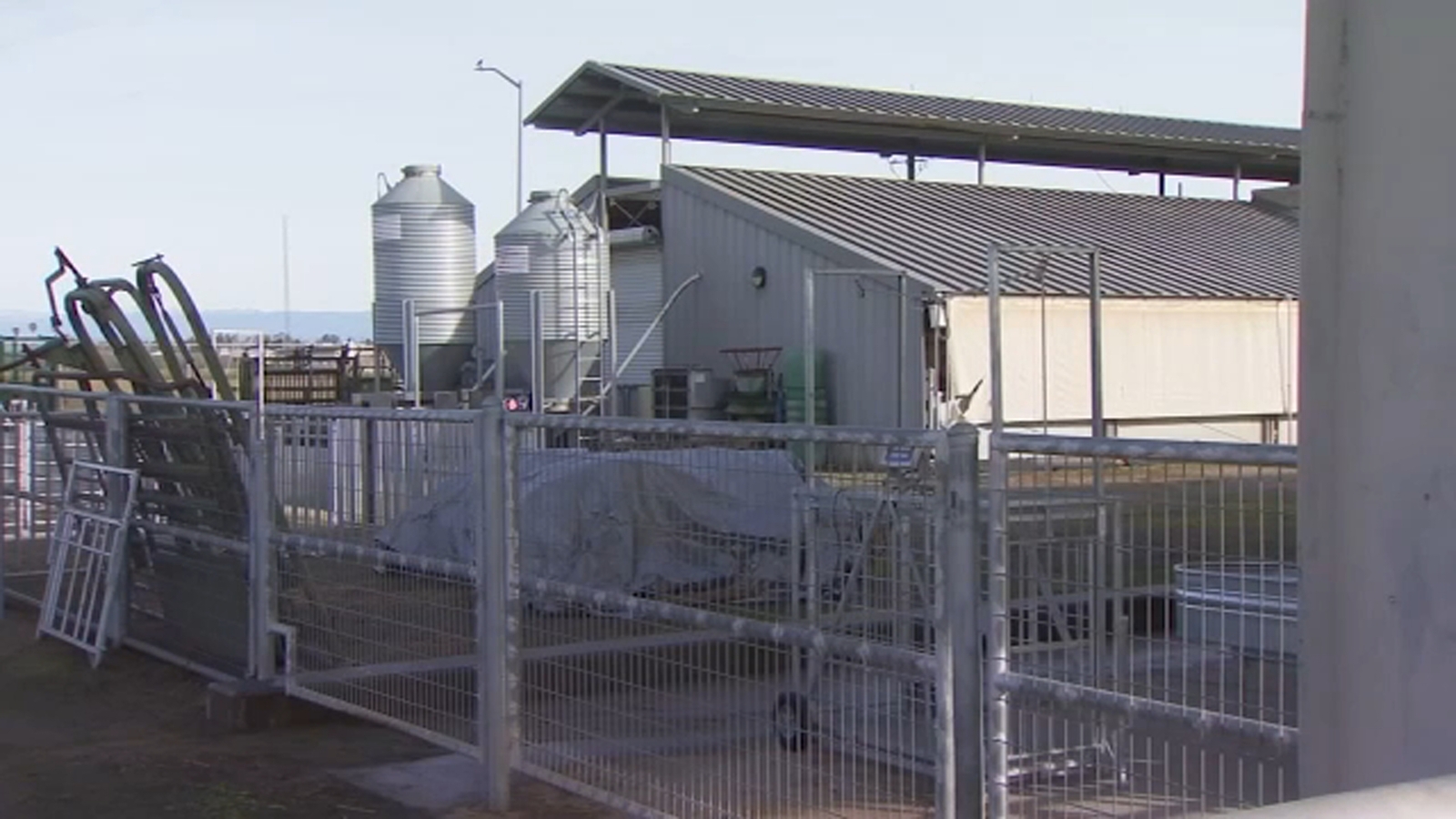 Clovis East High ag department will name barn after longtime teacher and FFA coach