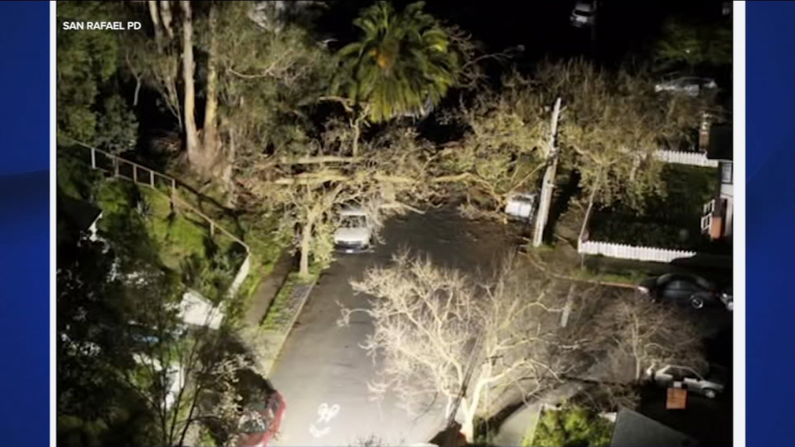 Large tree down knocks power to hundreds out in San Rafael neighborhood