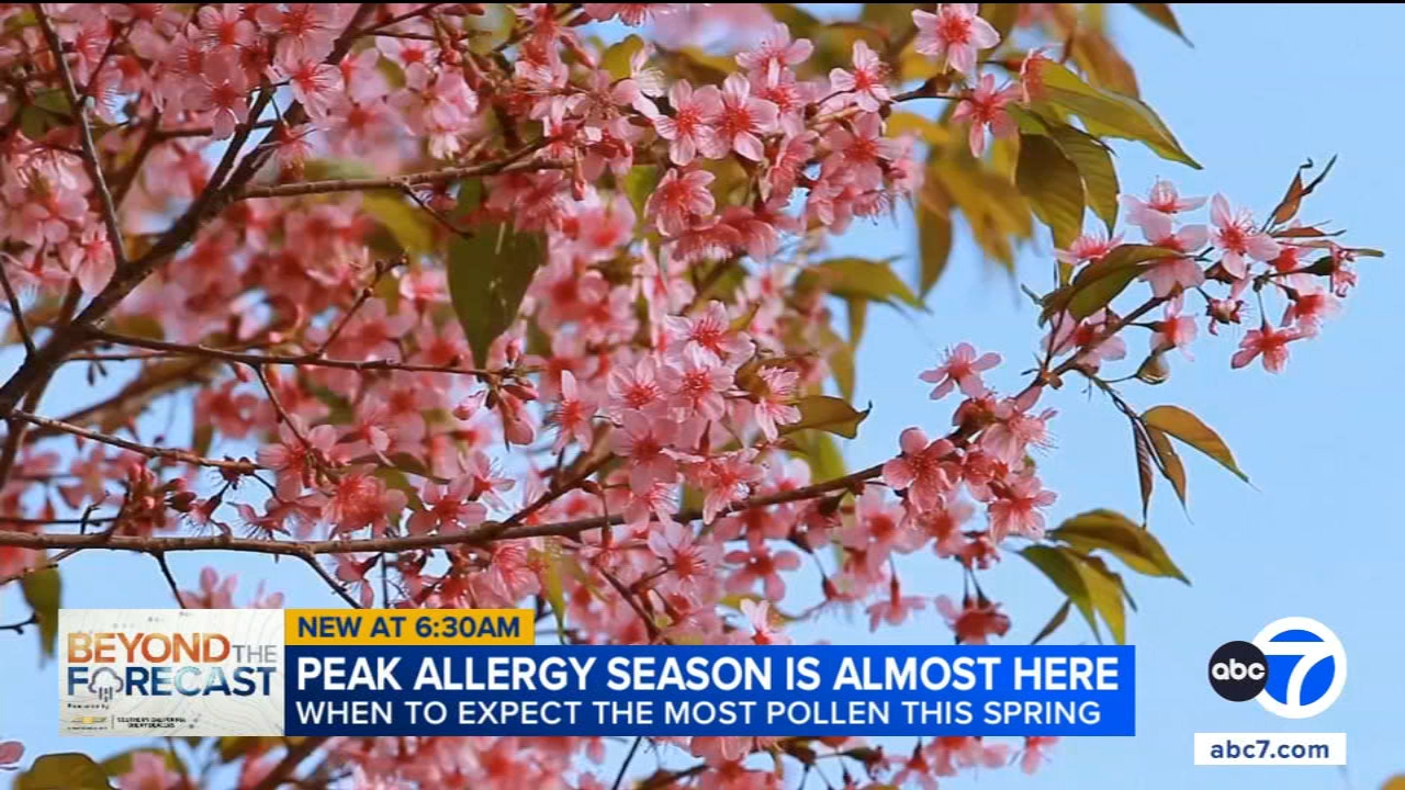 Here's how you can prepare for peak allergy season