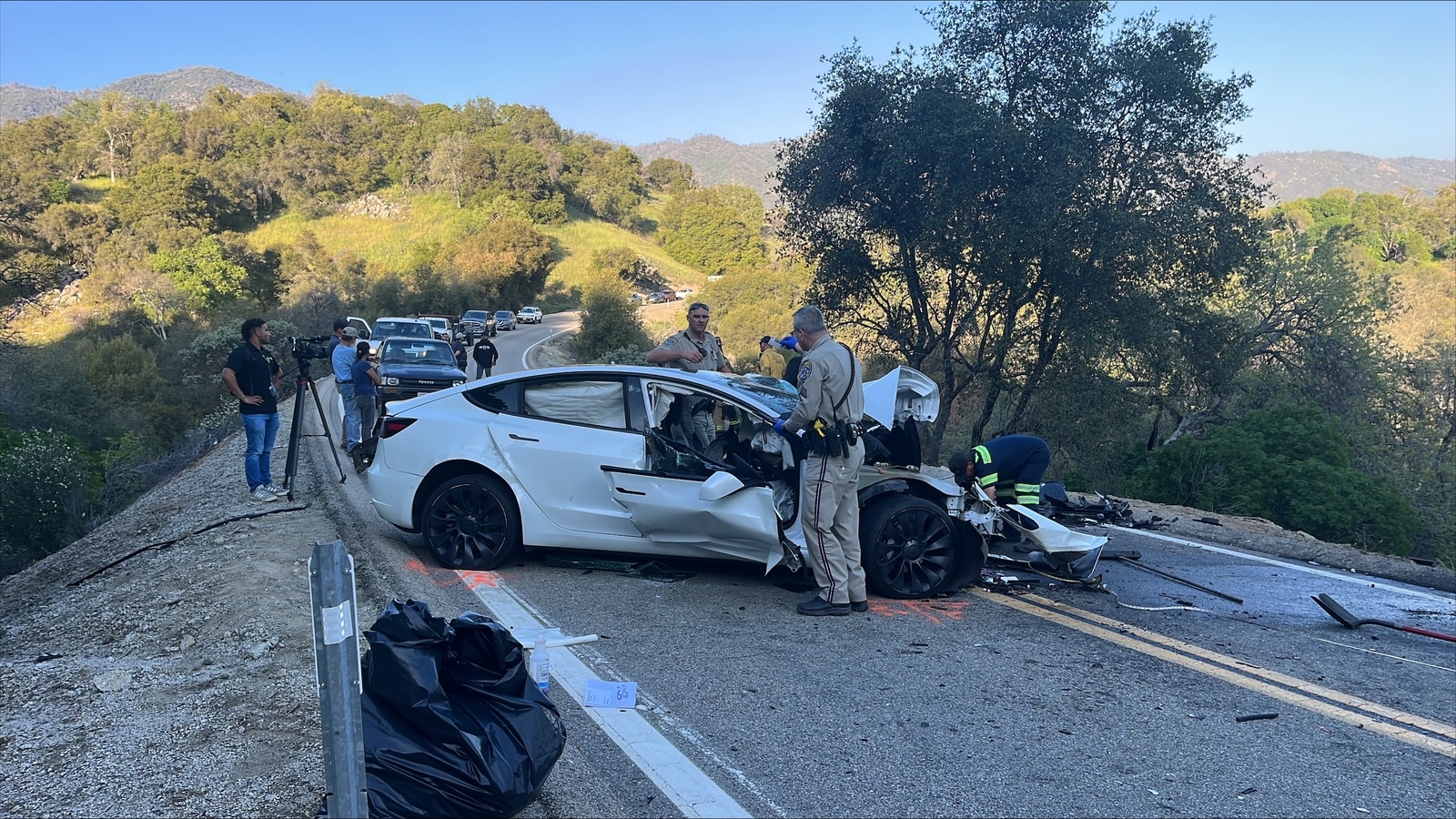Woman killed in crash with Tesla near Dunlap identified
