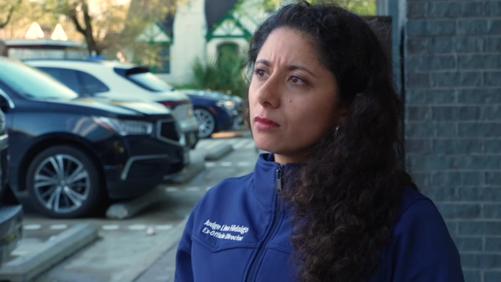 The facts behind Harris County Judge Lina Hidalgo's allegations against the Houston Rodeo