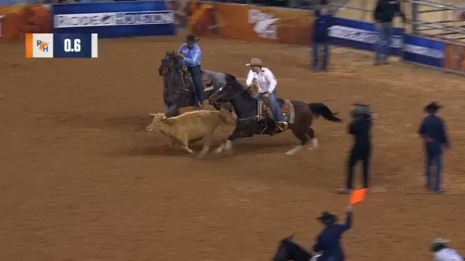 Steer euthanized after being injured during steer wrestling event at Houston Rodeo