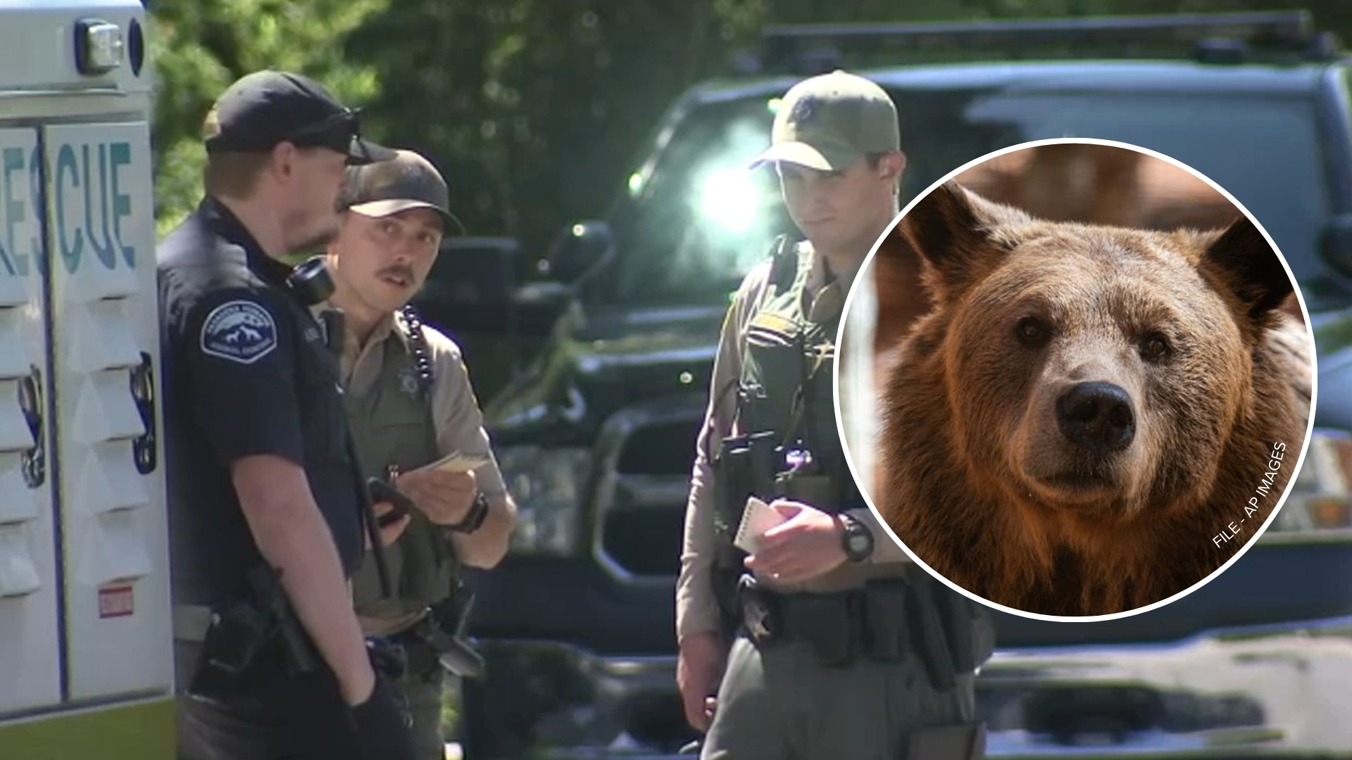 Woman escapes after bear swipes claw in Monrovia, leaving minor injuries