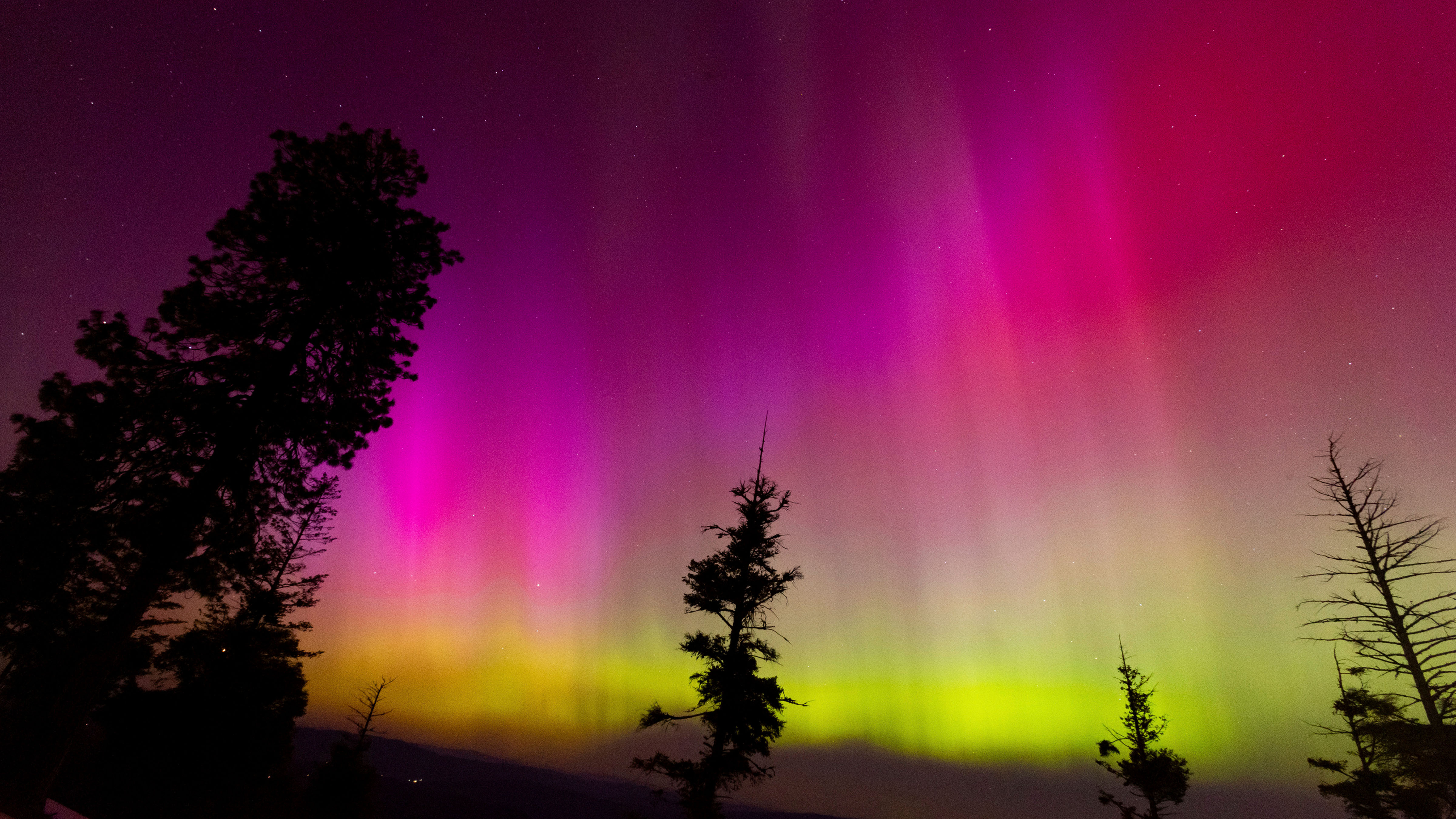 The Northern lights fill the sky at the Bogus Basin ski resort on Saturday, May 11, 2024 in Boise, Idaho. 