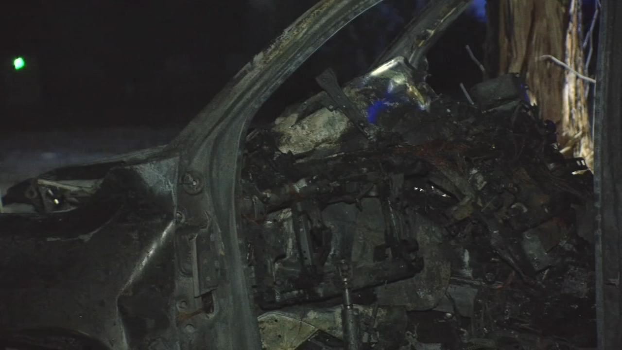 Car slams into tree, bursts into flames in Clayton