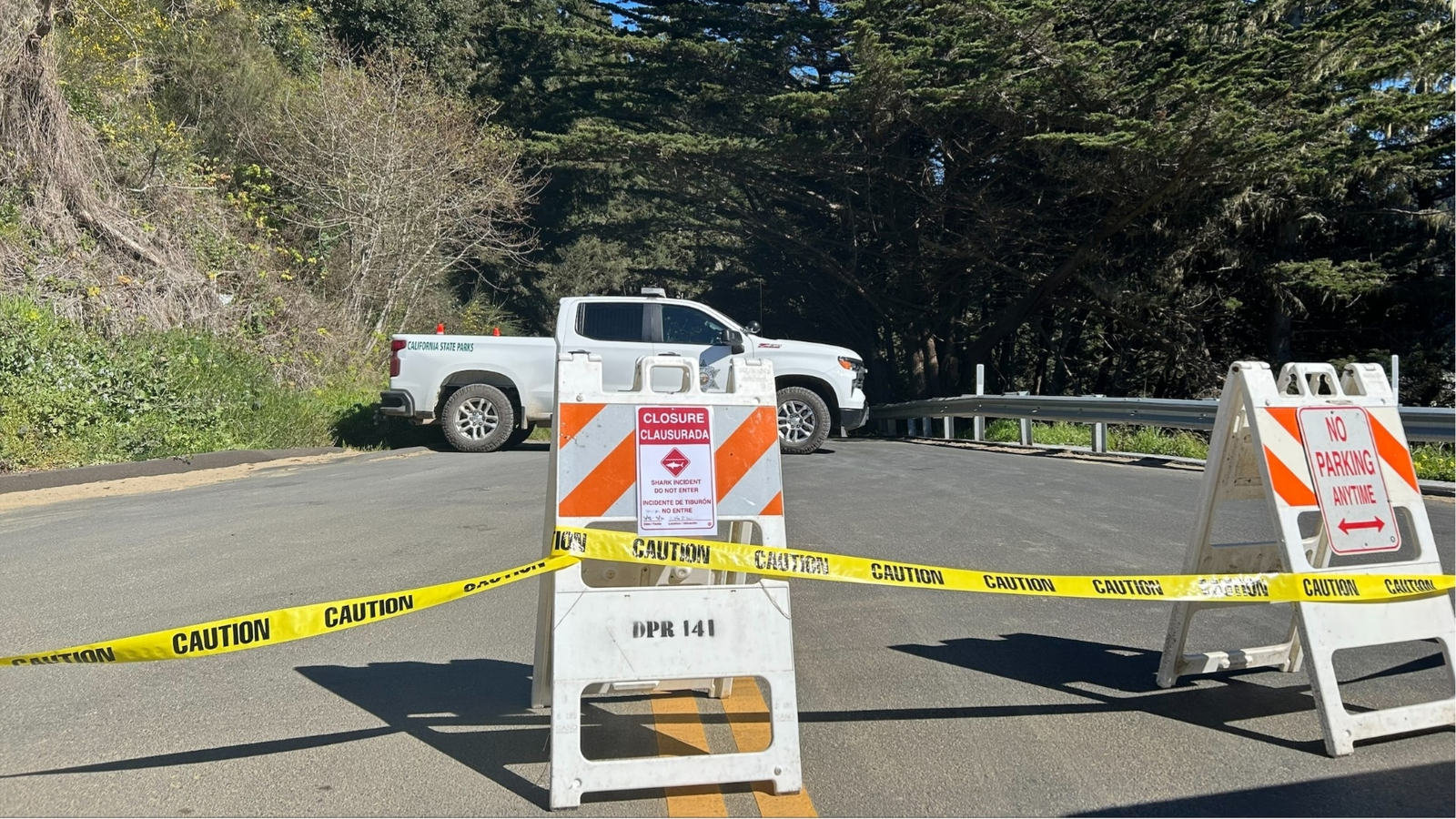 Surfer seriously injured after shark attack off Mendocino coast, officials say