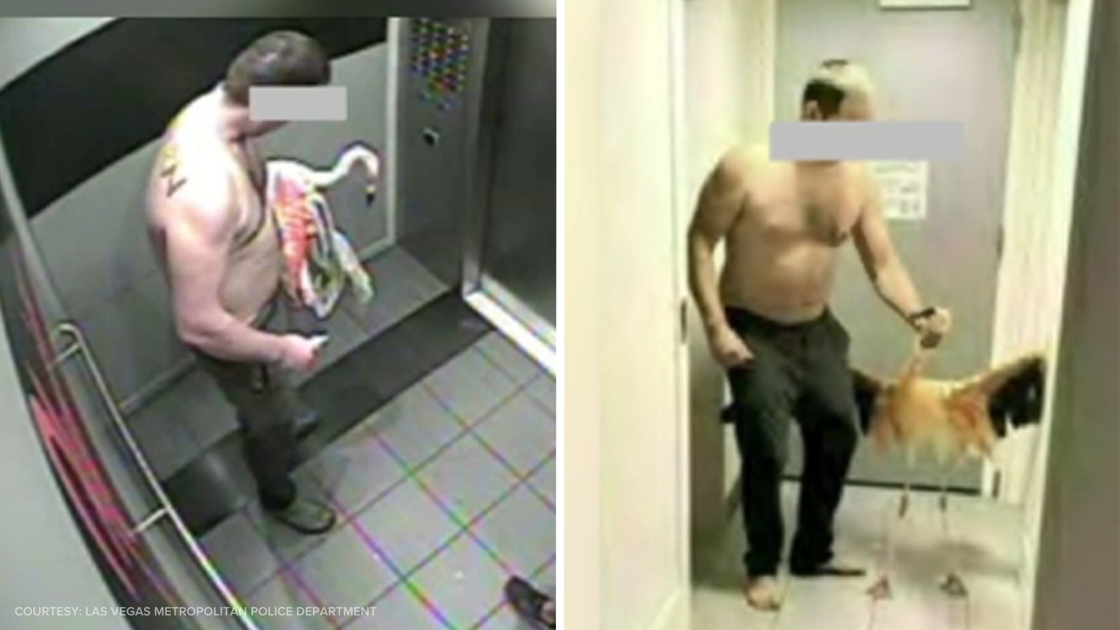 Man accused of stealing flamingo from Las Vegas hotel; bodycam video released Man accused of stealing flamingo from Las Vegas hotel; bodycam video released