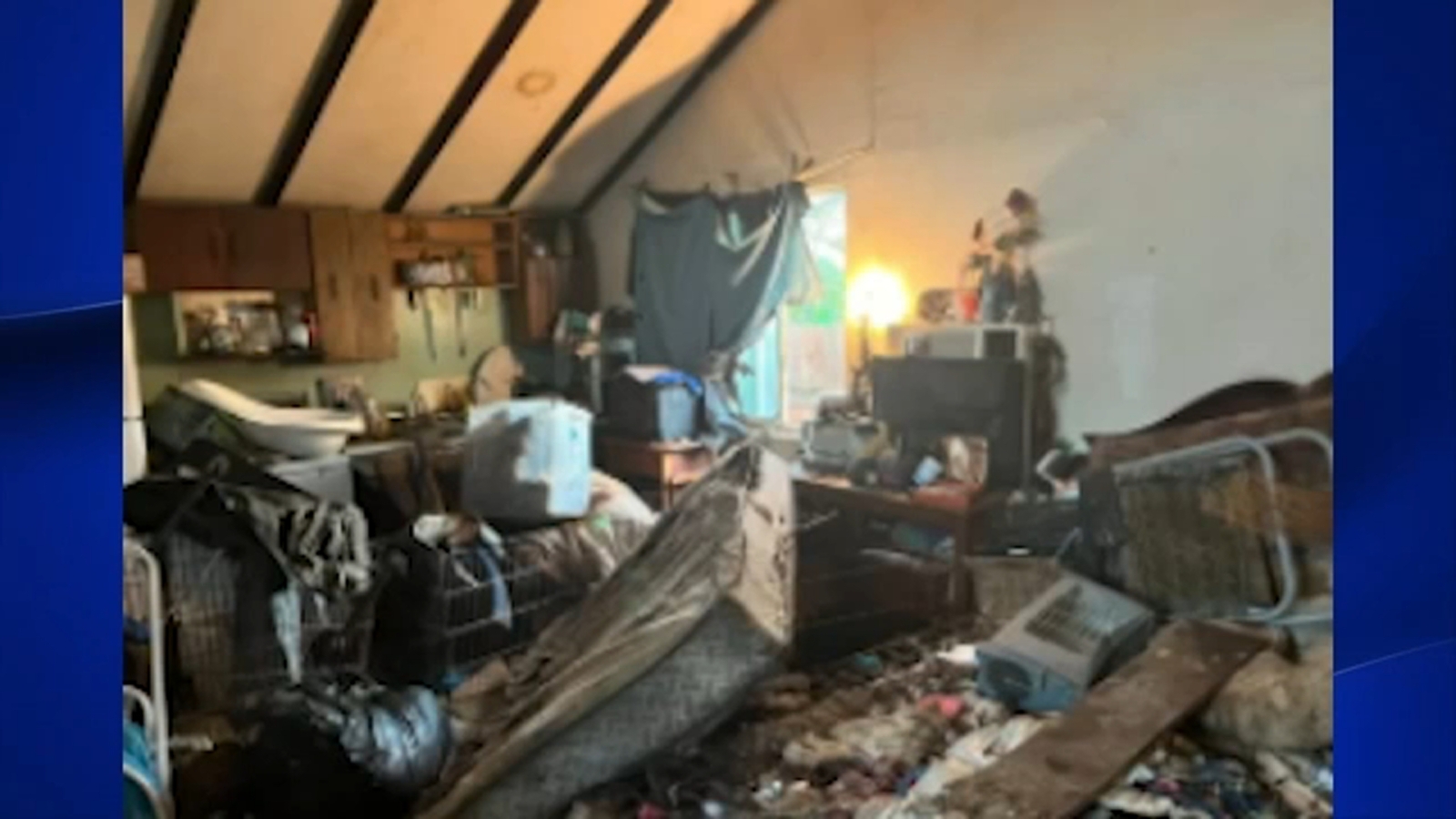 Mariposa County woman accused of hoarding over 30 dogs