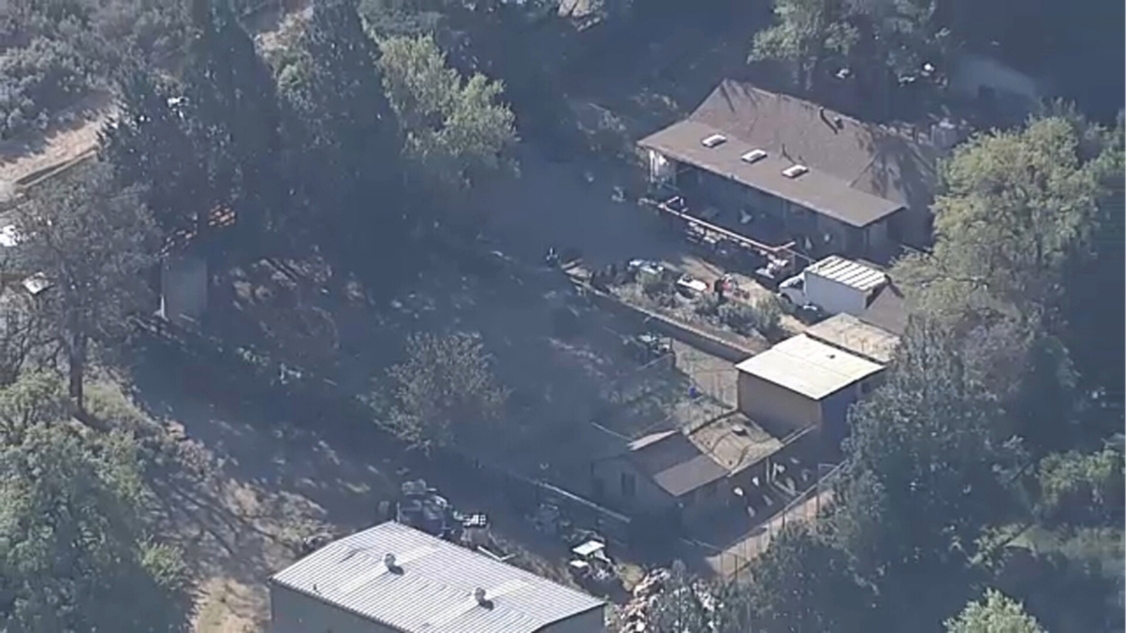 700 dogs, cats being rescued after search warrant served at California property