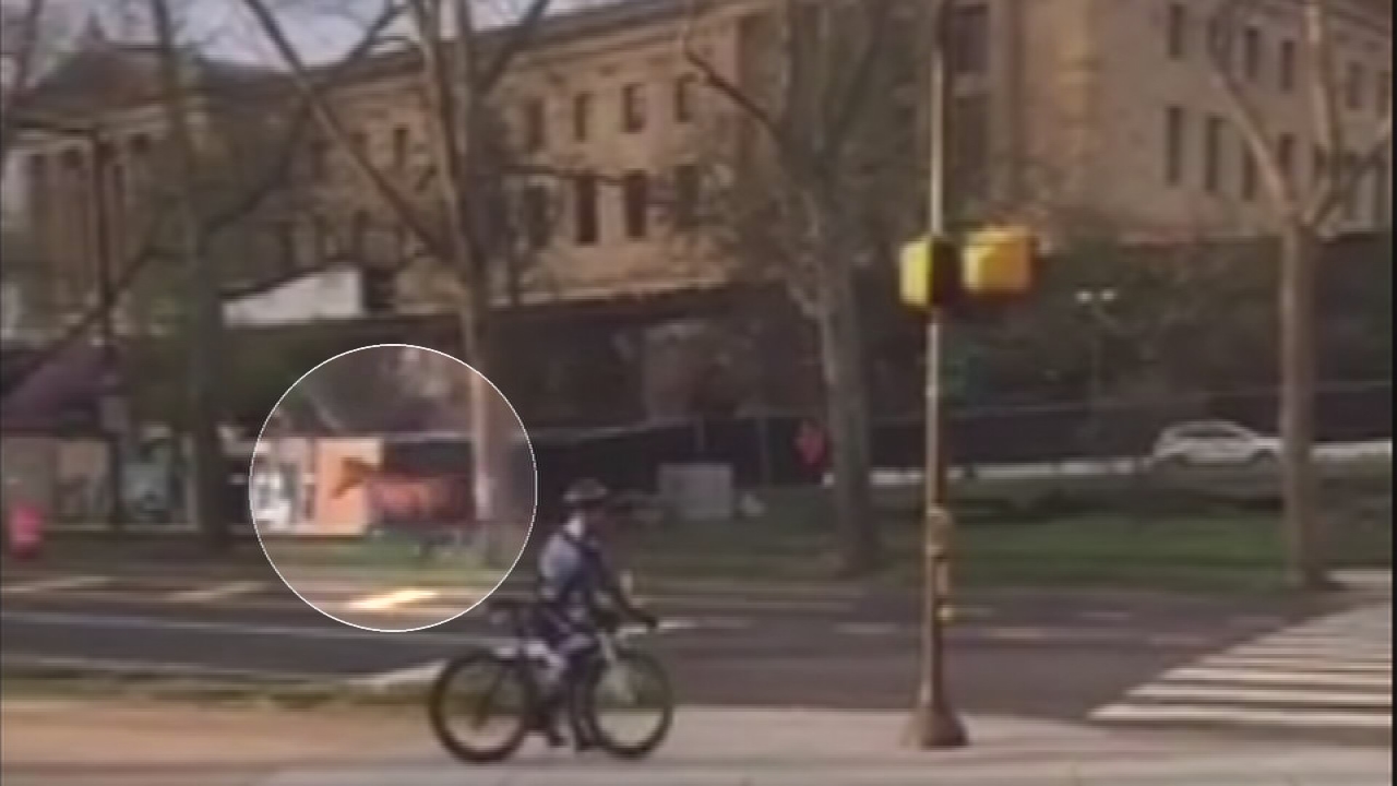 Runaway horse reunited with owner after getting loose in Philly