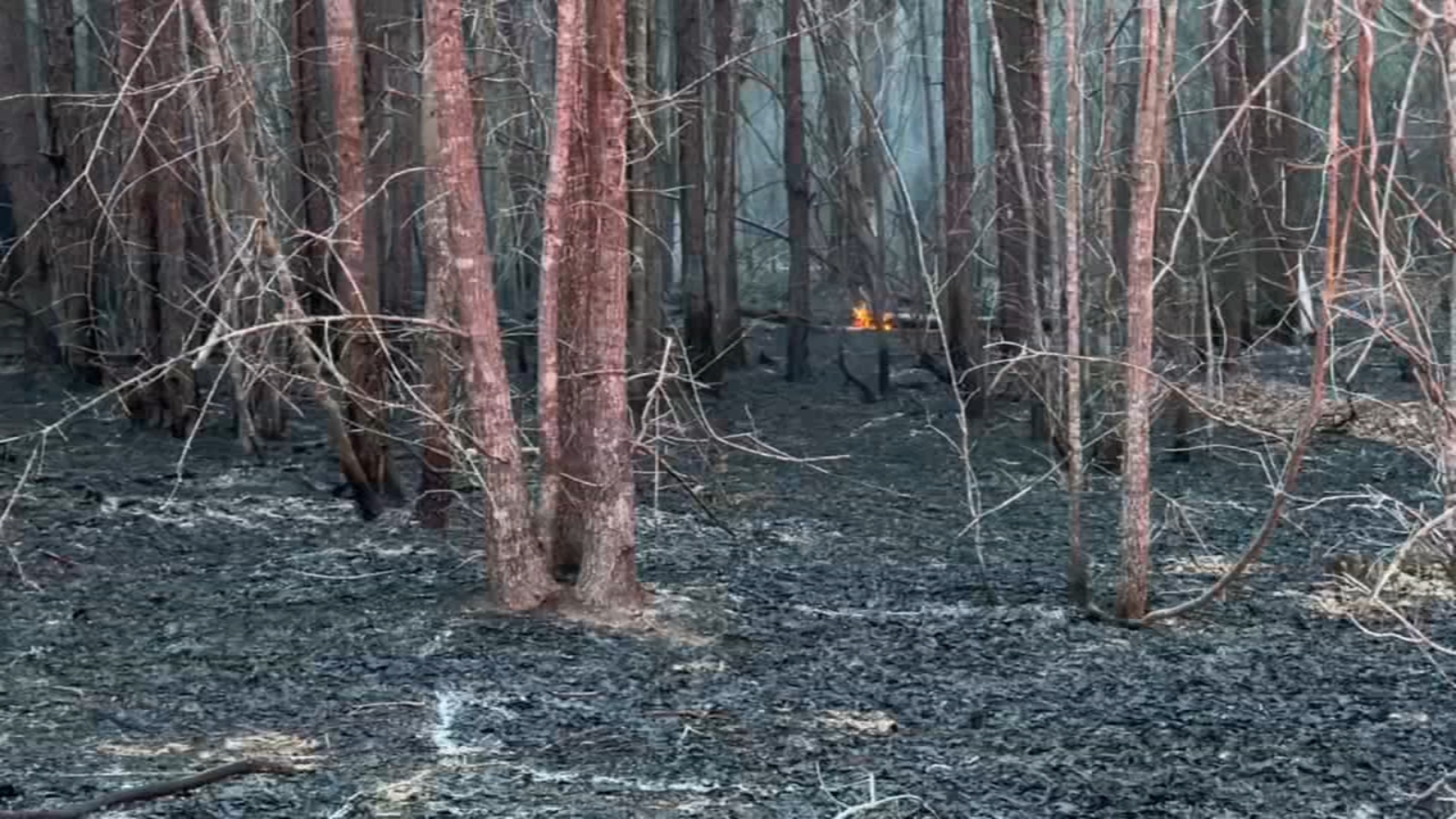 Crew battle multiple forest fires in Moore County - ABC11 Raleigh-Durham