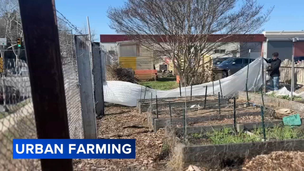 Community volunteers help launch spring season at Nice Roots Farm