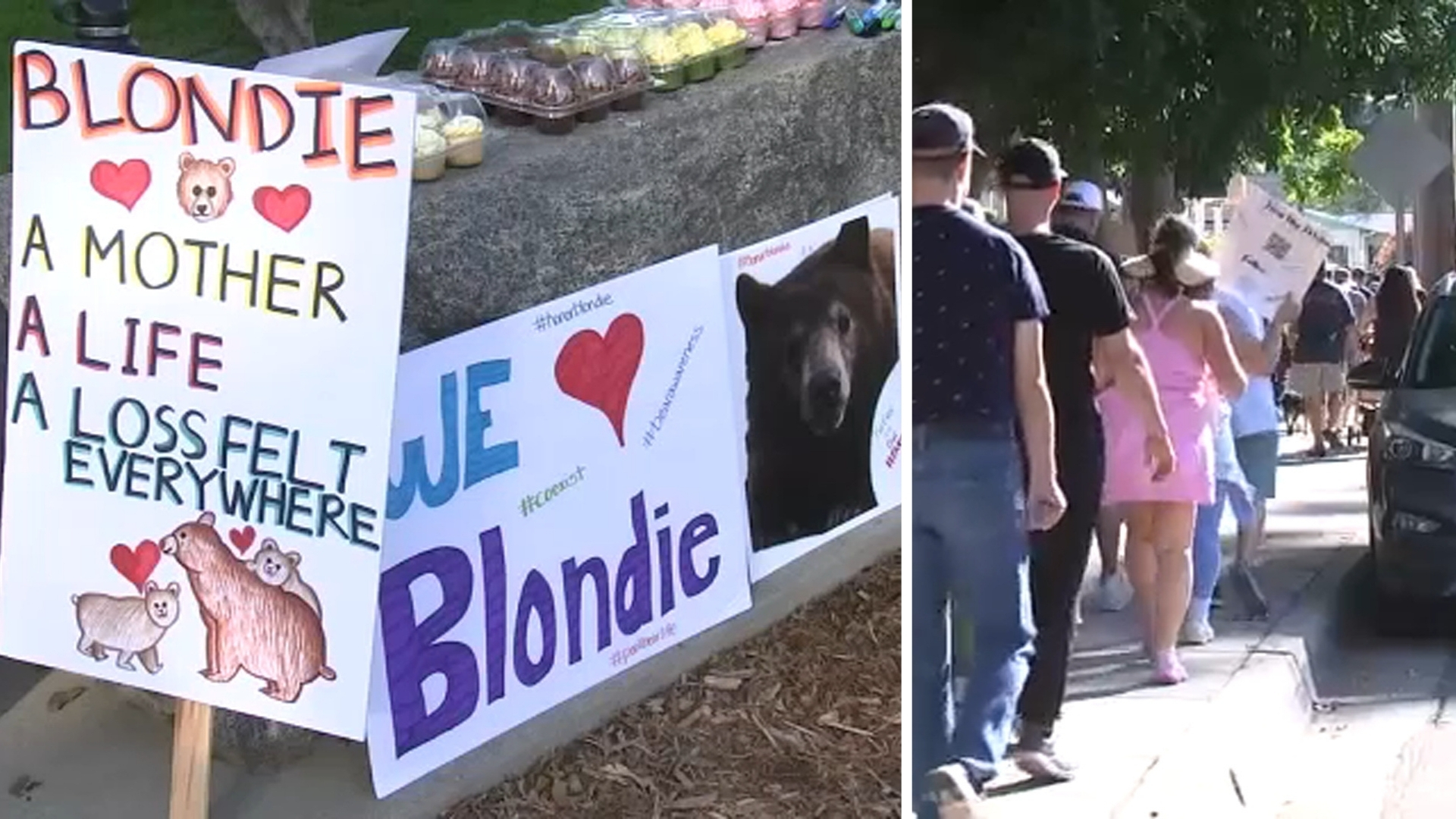 Community walk honors euthanized Monrovia mama bear; over 100 neighbors call for policy change