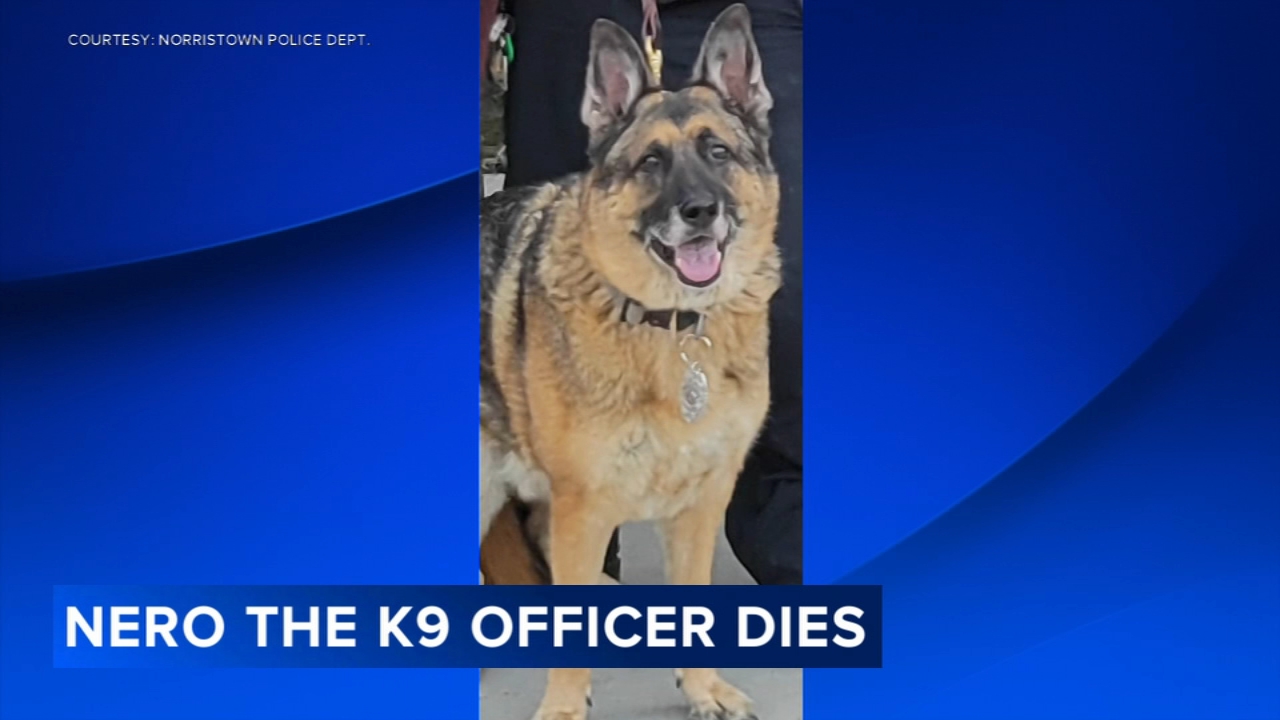 Norristown Police mourn the death of K9 officer Nero