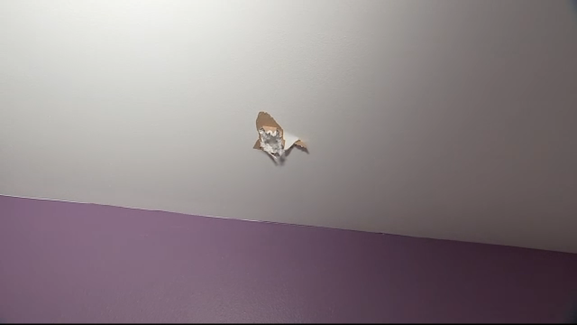 Woman living near Cypress Station says piece of meteor went through her home's roof