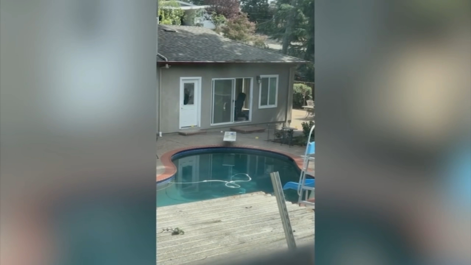 Lafayette homicide victim ID'd, suspect in custody as bizarre Facebook post surfaces