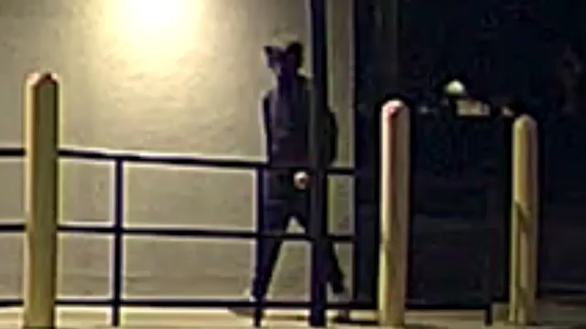 Suspect sought after antisemitic graffiti found on Delaware County bank