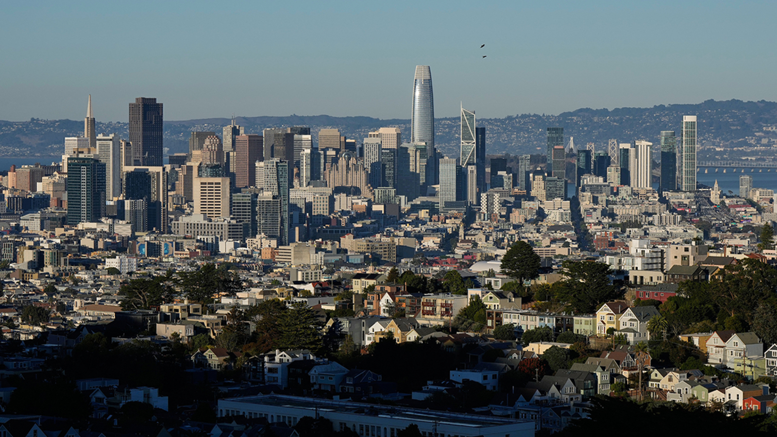 Mass deportations could cost Bay Area $67 billion a year; report shows loss of undocumented workers