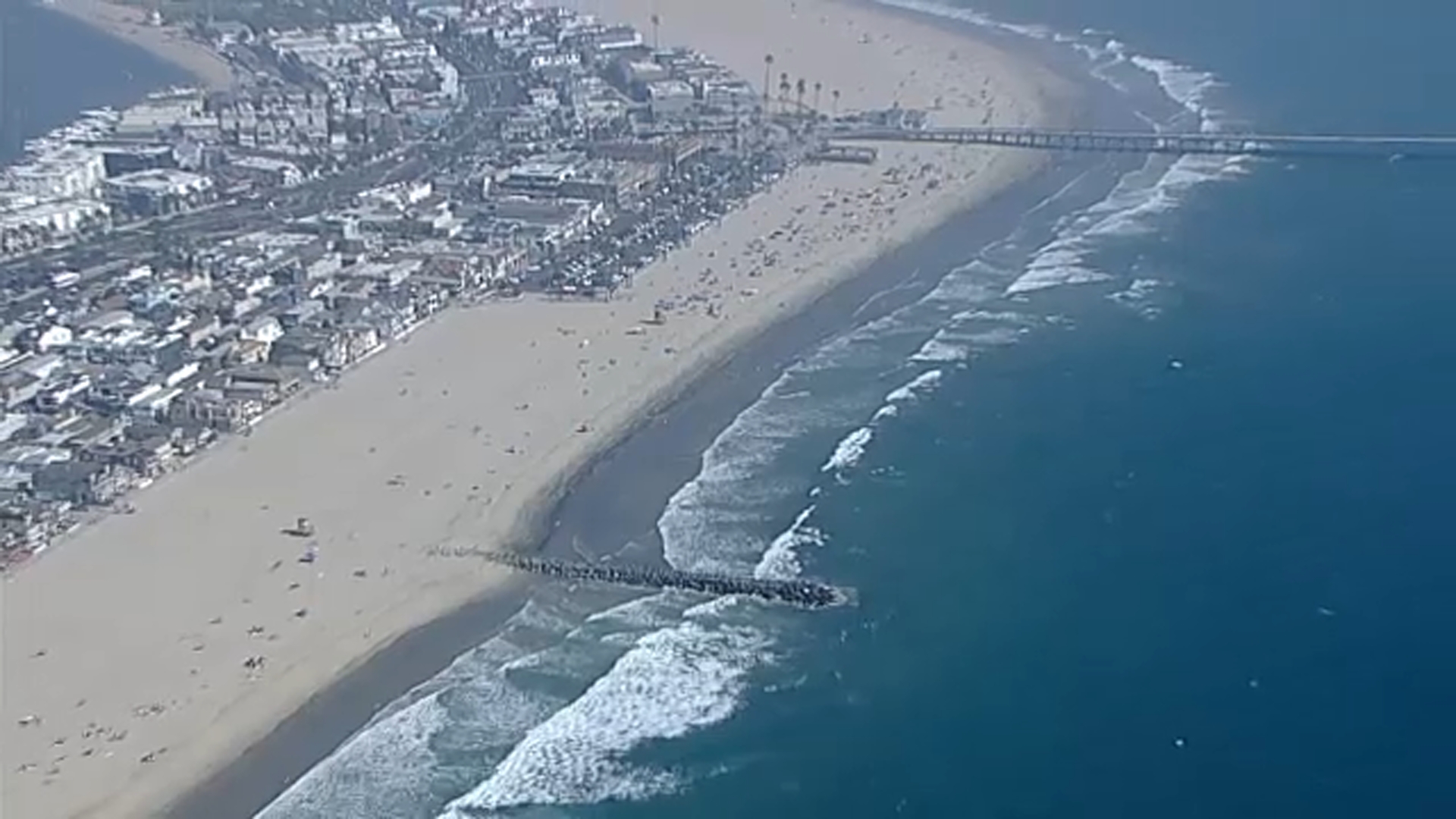 Great white shark seen circling surfer in Newport Beach, stretch of shoreline shut down