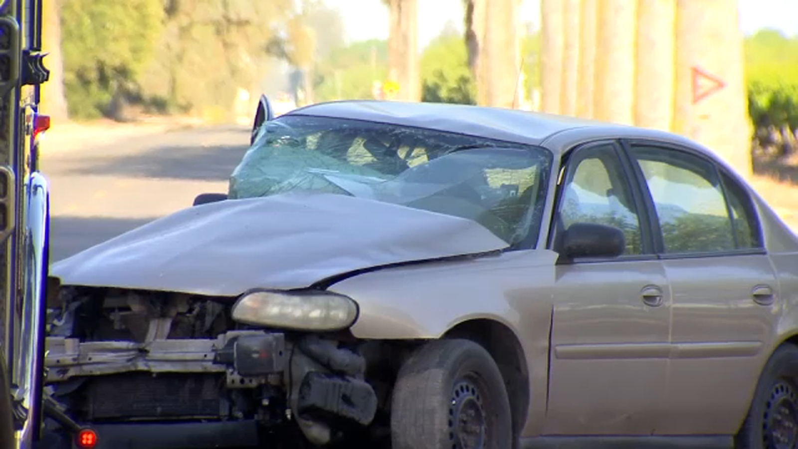 Man killed in suspected DUI crash involving tree in Fresno County identified