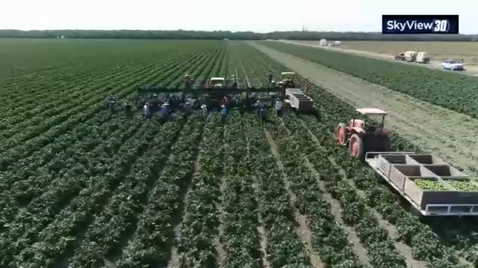 Local leaders call for action ahead of first-ever Farmworkers Day