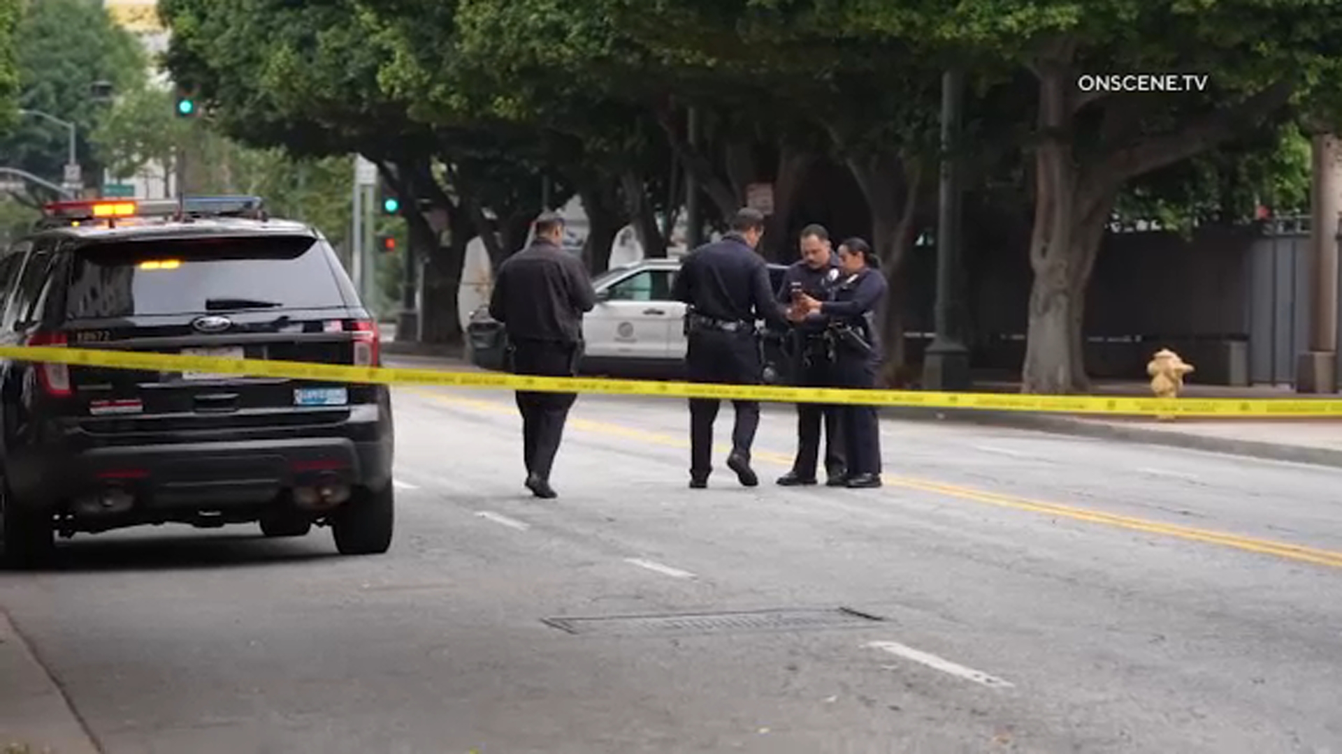 Murder suspect arrested in stabbing of woman in DTLA, police say