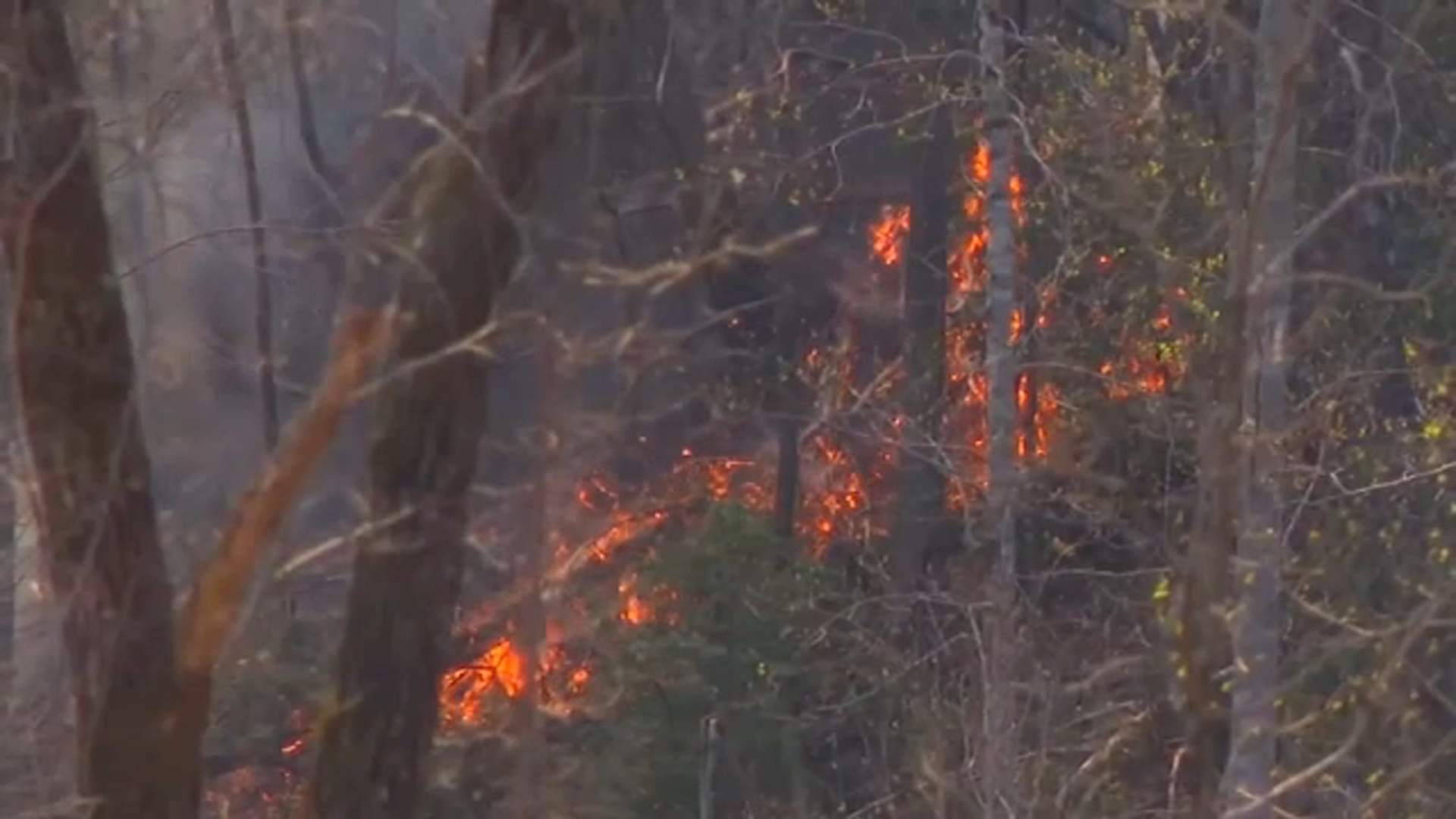 Wake County enacts local burn ban amid heightened wildfire risk