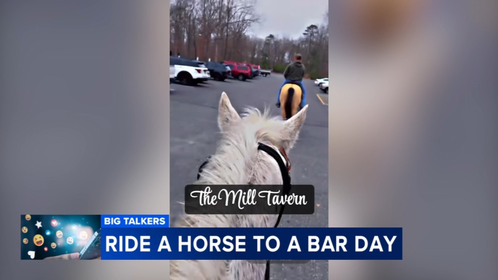 New Jersey couple participates in "National Ride Your Horse to a Bar Day"