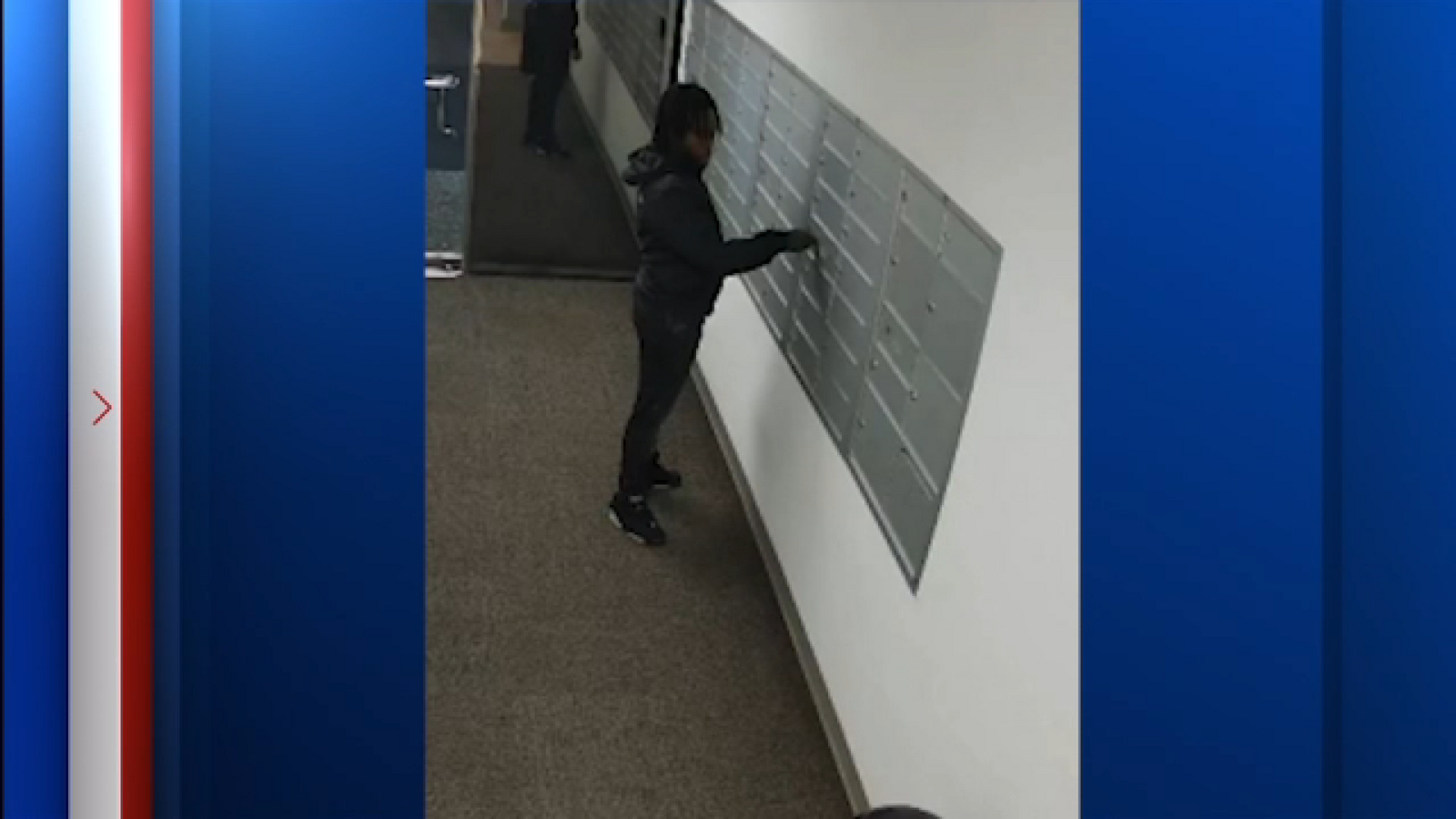 Wanted mail theft suspect in custody after evading arrest, court records show