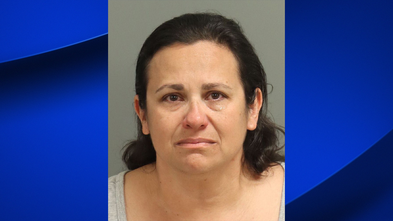 Magda Holloway faces several charges after Wake Forest shooting.