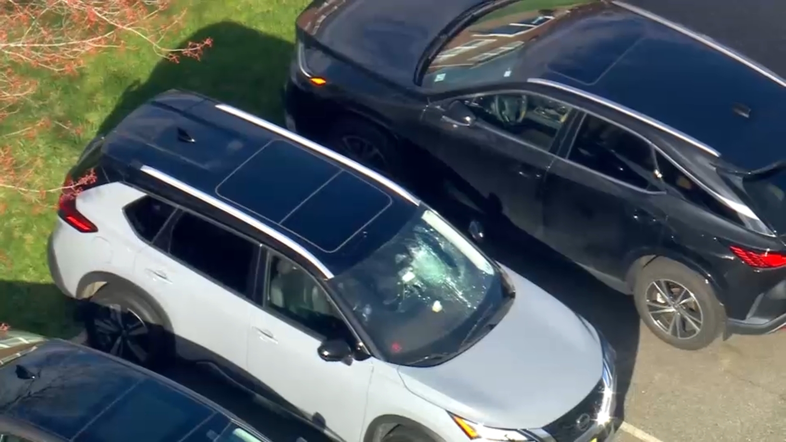 Cars found vandalized in Cranford and Linden, New Jersey