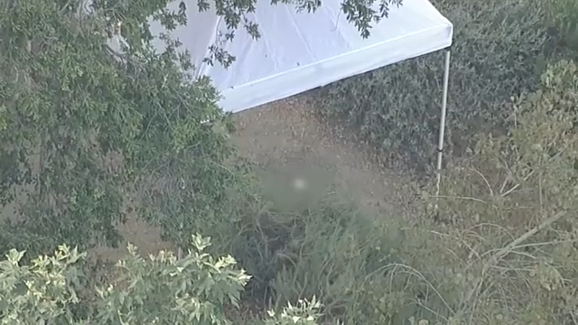 Hallan cráneo humano durante evento de Pascua en parque de Long Beach