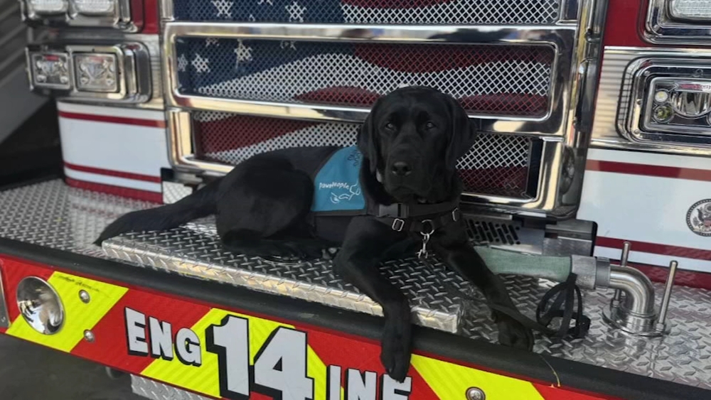 Fayetteville Fire Department introduces newest crisis response dog