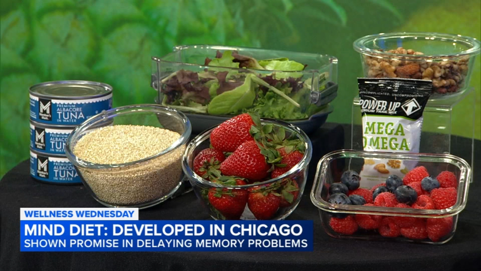 Mind diet developed in Chicago