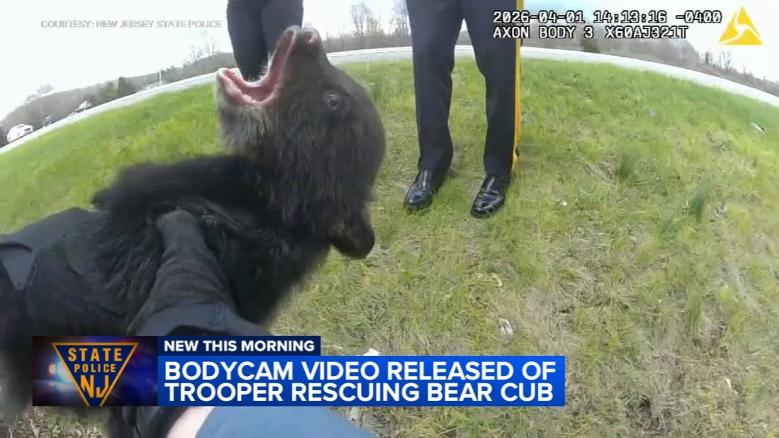 New Jersey State Police release bodycam video showing bear cub rescue in Union Twp.