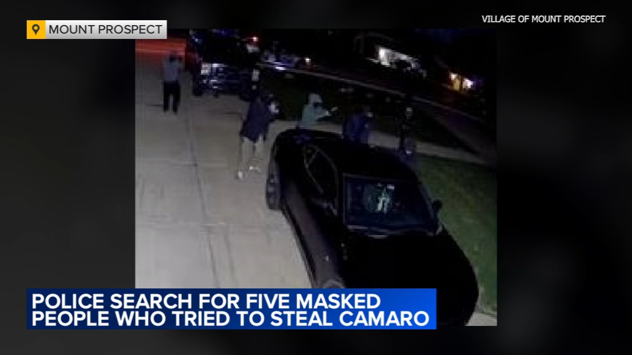 Masked suspects caught on camera in attempted car theft in Mount Prospect