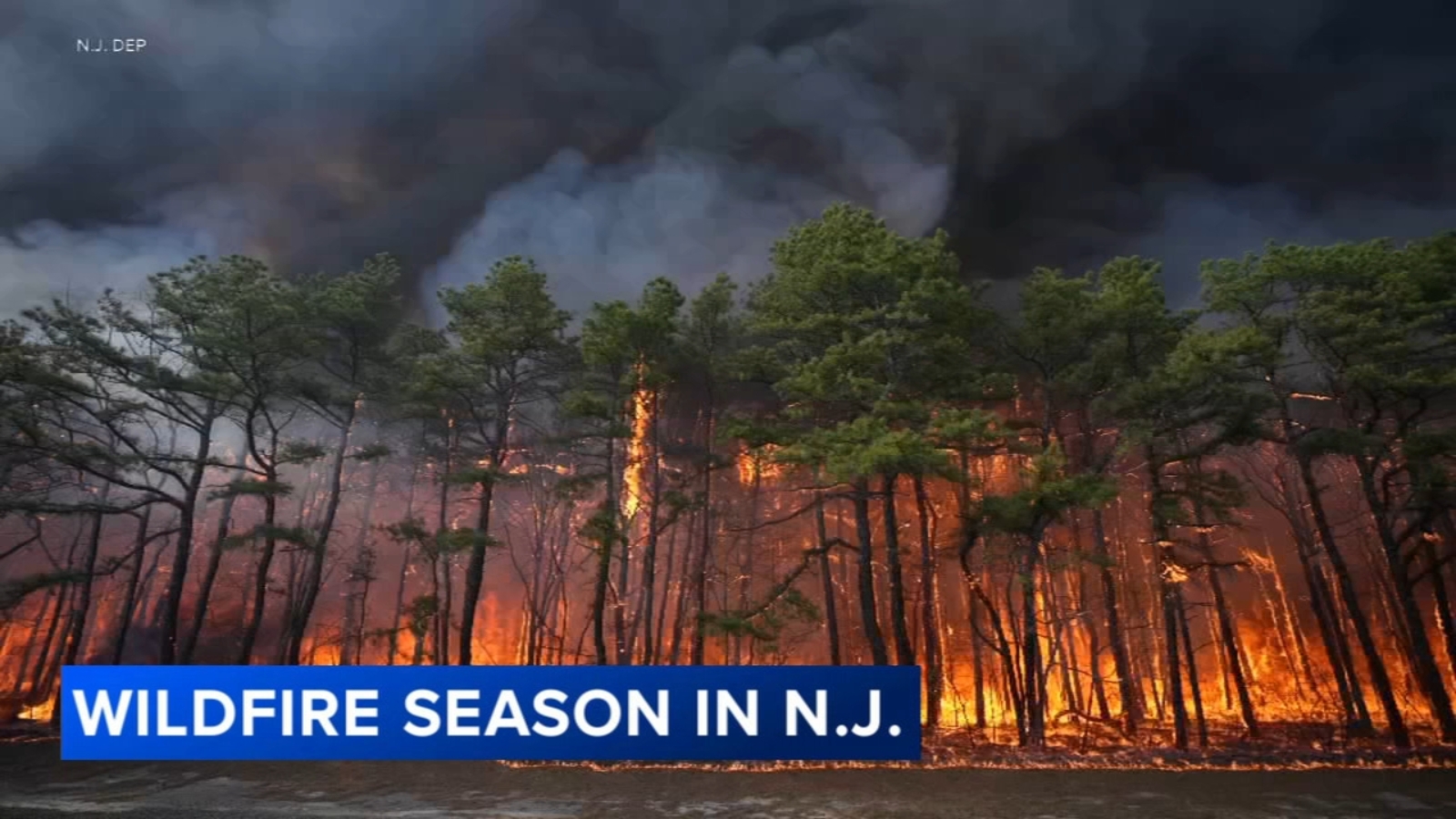 Dry conditions raise concerns as New Jersey enters peak wildfire season