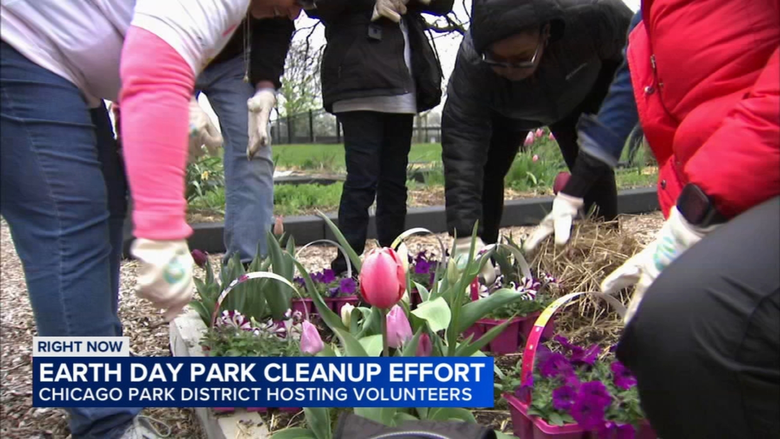 Hundreds of volunteers clean up Chicago parks in celebration of Earth Day