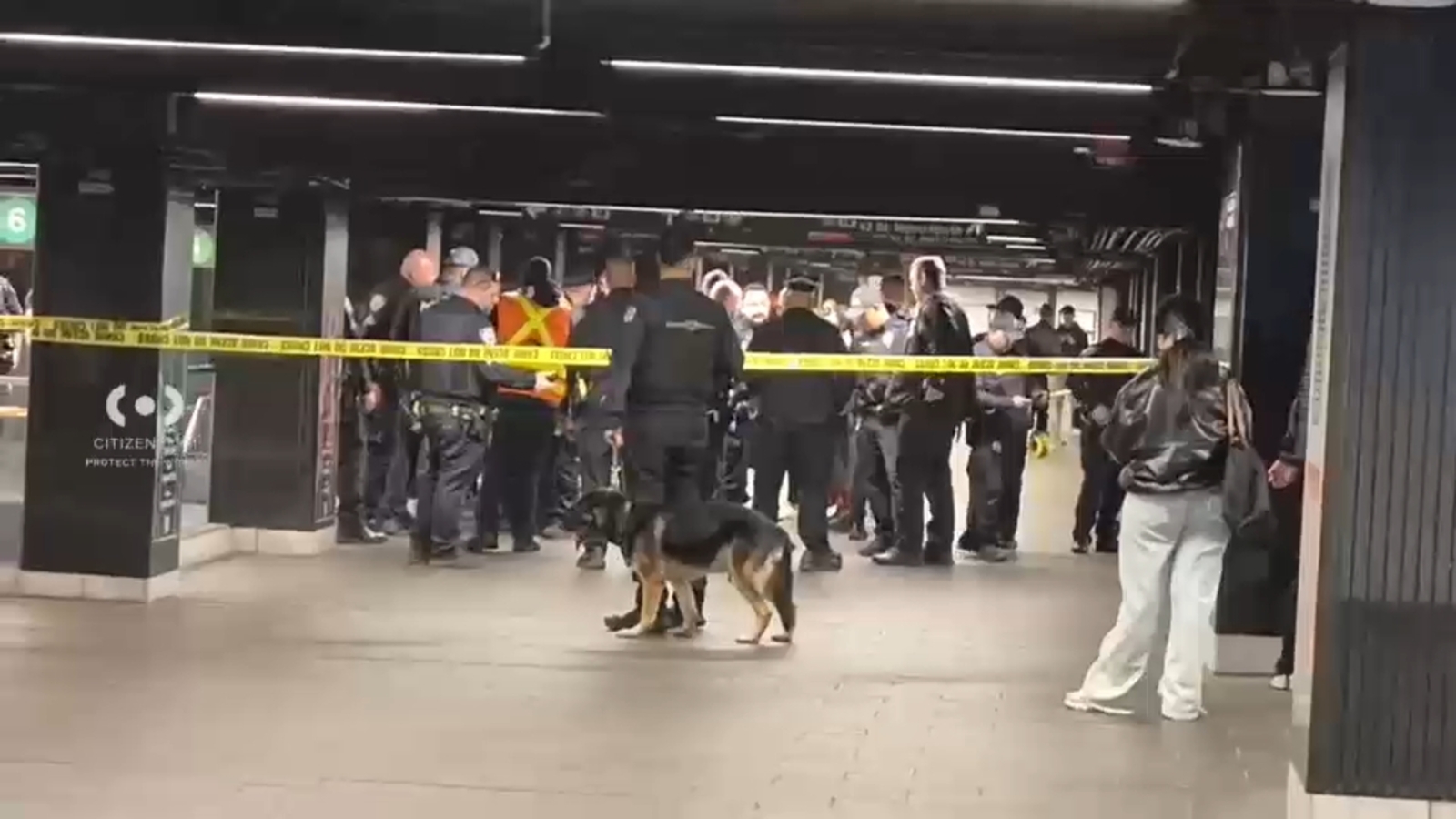 Man with knife fatally shot by police after stabbing people at Grand Central, police say