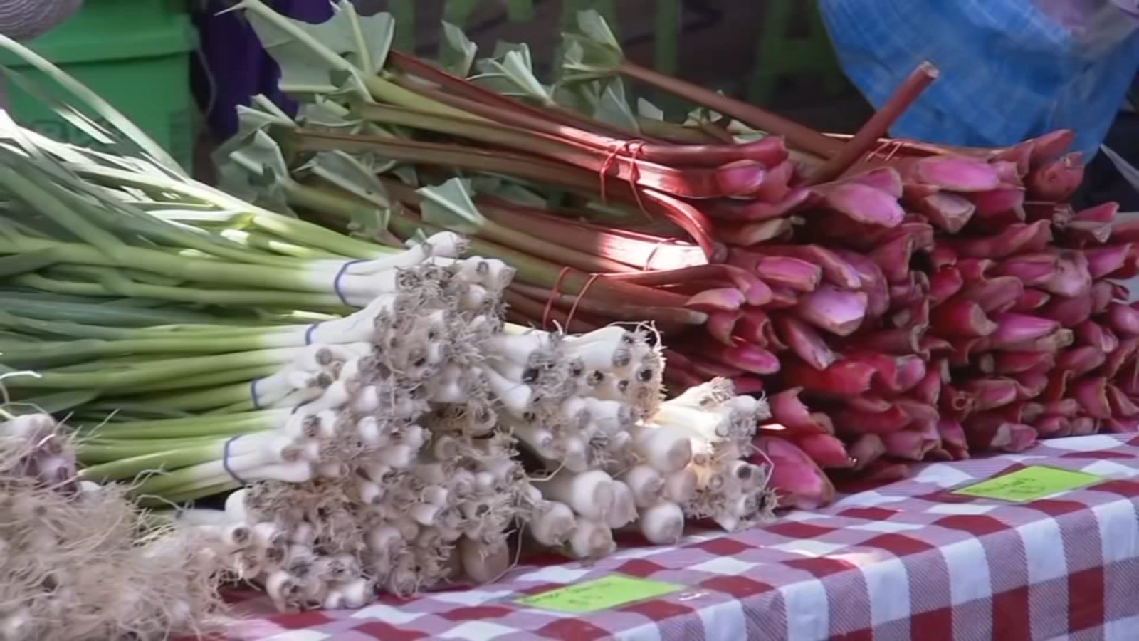 Glenwood Sunday Market hosts fundraiser to fight food insecurity