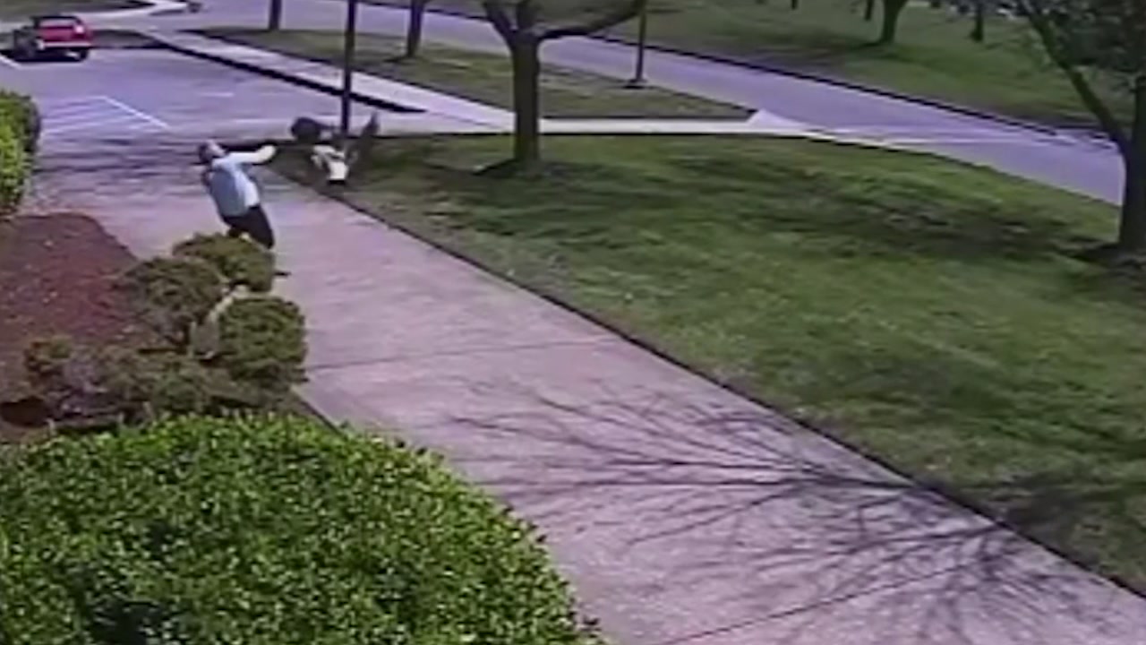 Goose attacks police detective