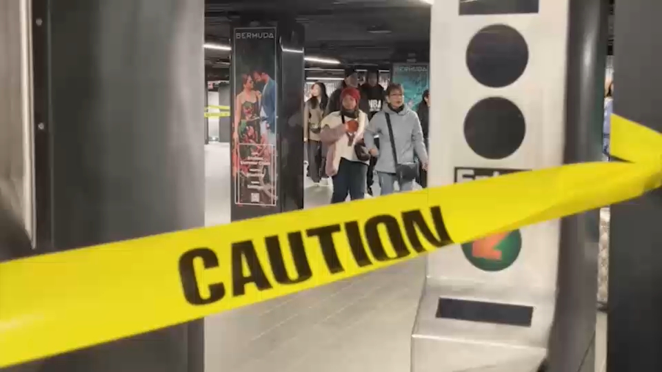 Man with machete fatally shot by police after stabbing people at Grand Central