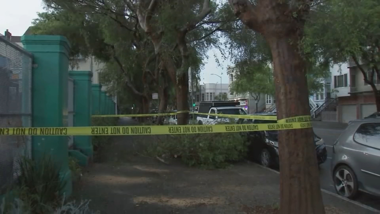 Rain upends trees, causes flooding in Bay Area: Here's a recap of Level 2 storm impact